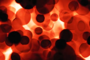 Image of Bloodborne Pathogens (BBP)