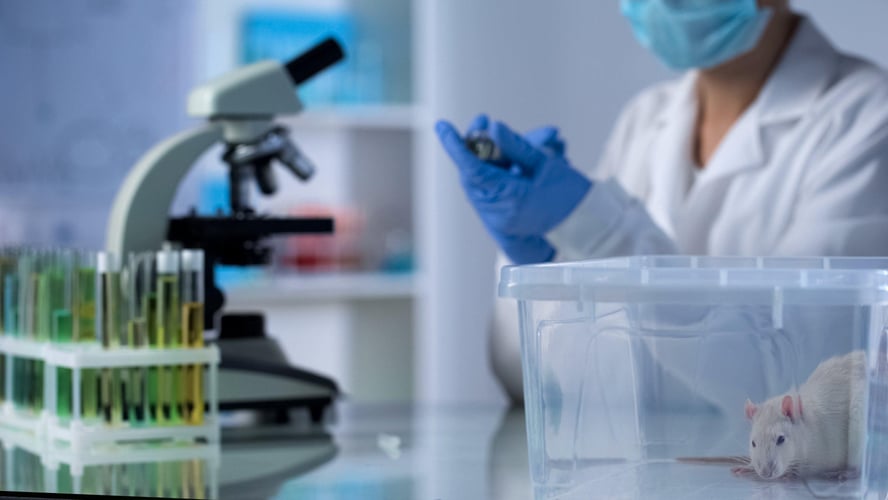 Image of Laboratory Safety