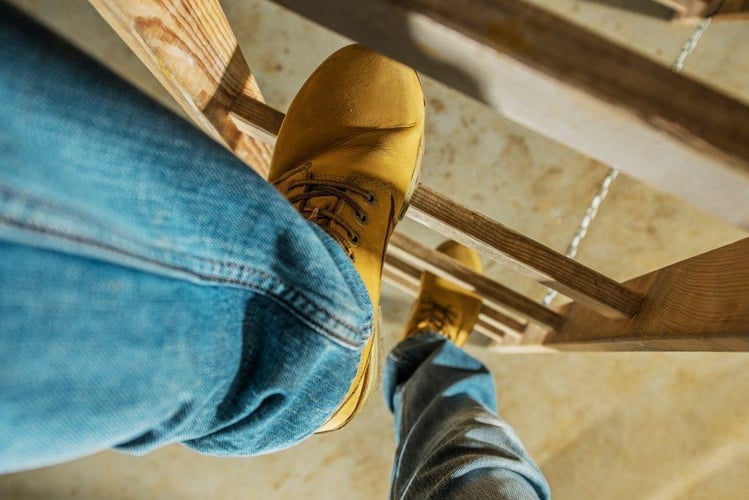 Image of Ladder Safety