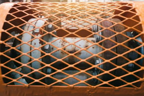 Image of Machine Guarding