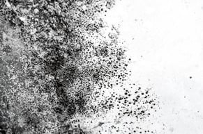 Image of Mold