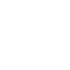 Icon (1)