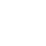 Icon (2)